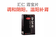 汇仁 肾宝片 4板x2小盒