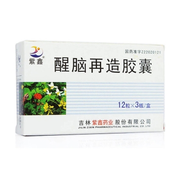 醒脑再造胶囊(紫鑫)