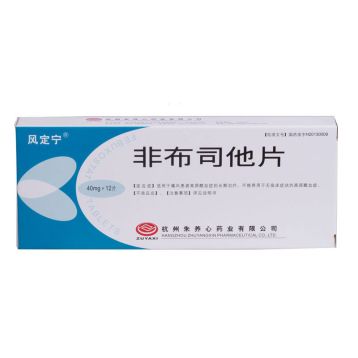 非布司他片(风定宁)