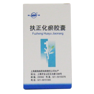 扶正化瘀胶囊(双海)