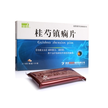 桂芍镇痫片 